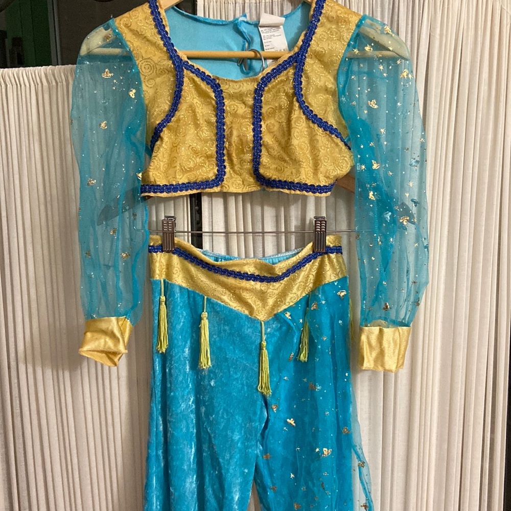 Princess Jasmine Halloween Costume